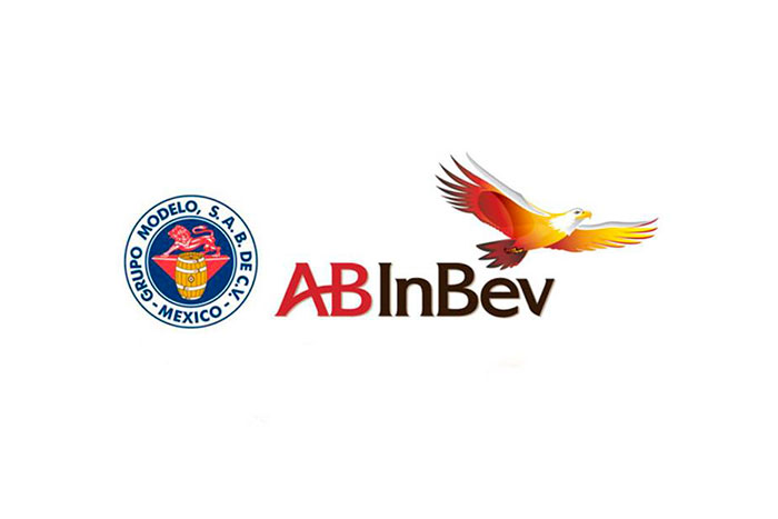 abinveb-modelo